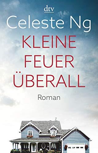 Kleine Feuer überall: Roman