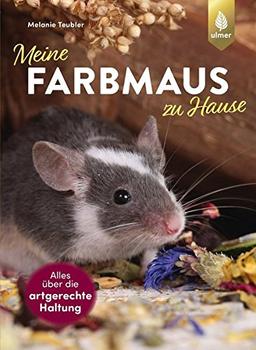 Meine Farbmaus zu Hause