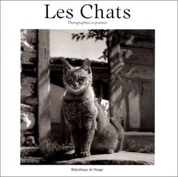 Les chats : photographies et poèmes