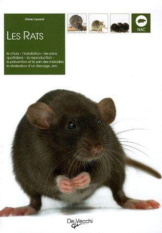 Les rats