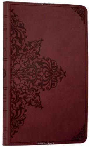 Holy Bible: English Standard Version (ESV) Anglicised Chestnut Ornamental Thinline Edition (Bible Esv)