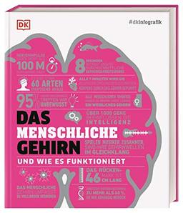 #dkinfografik. Das menschliche Gehirn und wie es funktioniert