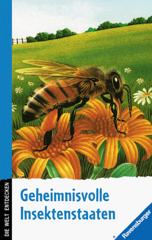 Bienen, Wespen, Ameisen - Geheimnisvolle Insektenstaaten