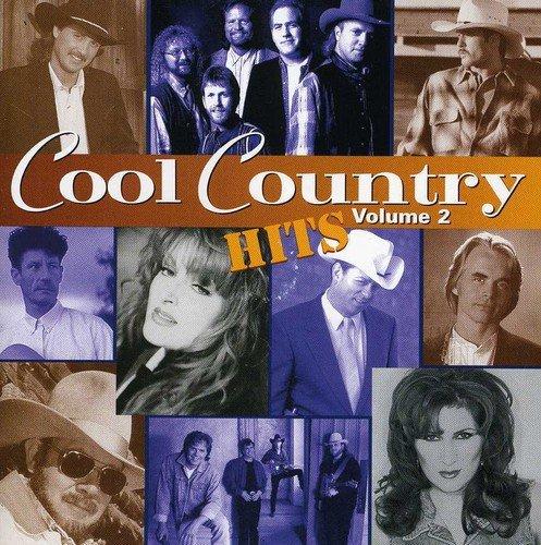 Cool Country Hits Vol.2