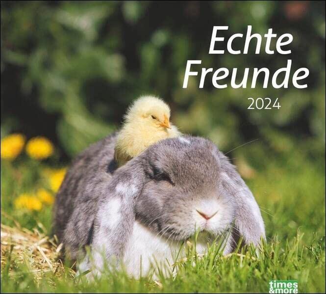 times&more Echte Freunde Bildkalender 2024