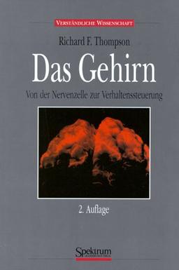 Das Gehirn: Von der Nervenzelle zur Verhaltenssteuerung