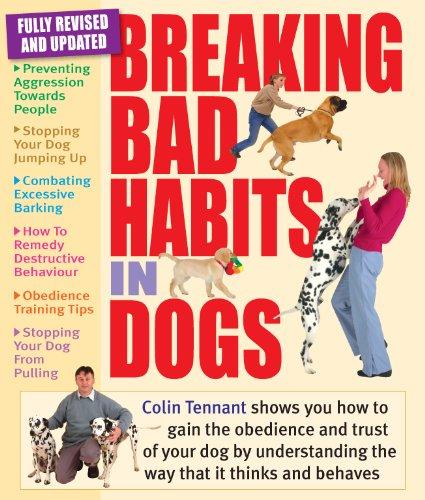 Breaking Bad Habits in Dogs