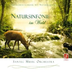 CD Natursinfonie im Wald: Instrumentale Hintergrundmusik zur Entspannung.