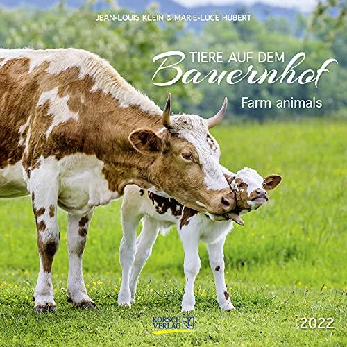 Tiere auf dem Bauernhof 2022: Broschürenkalender mit Ferienterminen. Format: 30 x 30 cm