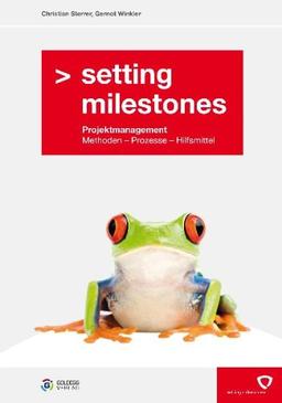 Setting Milestones - Projektmanagement Methoden, Prozesse, Hilfsmittel