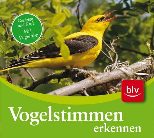 CD Vogelstimmen erkennen. Audio-CD: Gesänge und Rufe der 75 häufigsten Arten mit farbigem Begleitheft