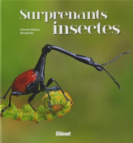 Surprenants insectes