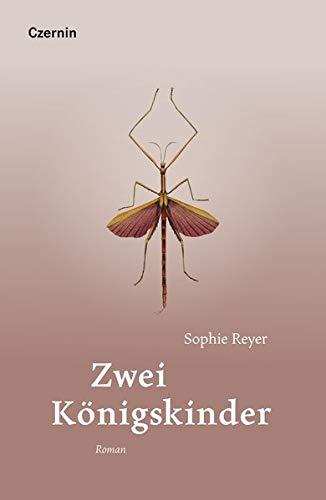 Zwei Königskinder: Roman