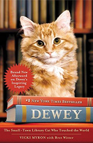 Dewey: The Small-Town Library Cat Who Touched the World