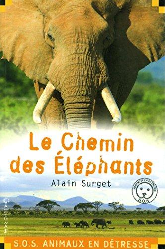 Le chemin des éléphants