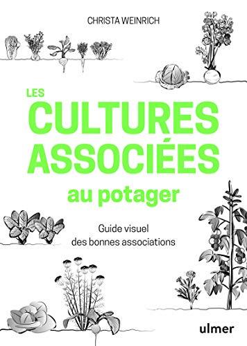 Les cultures associées au potager : guide visuel des bonnes associations