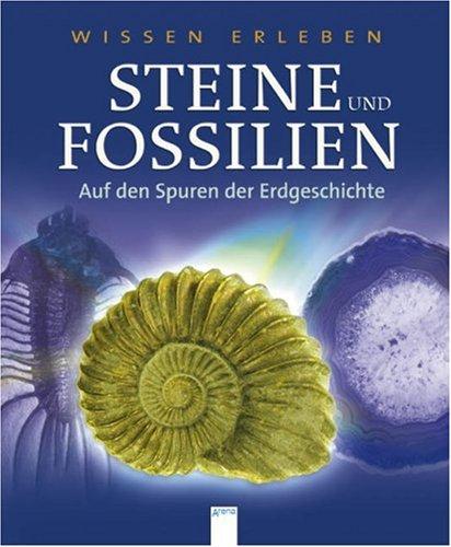 Steine und Fossilien: Auf den Spuren der Erdgeschichte