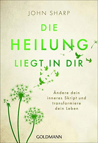 Die Heilung liegt in dir: Ändere dein inneres Skript und transformiere dein Leben