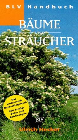 Bäume und Sträucher