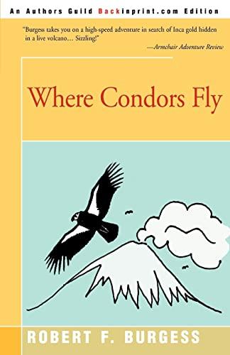 Where Condors Fly