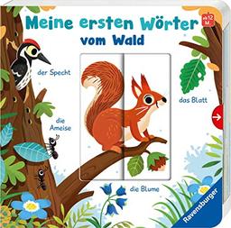 Meine ersten Wörter vom Wald - Sprechen lernen mit großen Schiebern und Sachwissen für Kinder ab 12 Monaten