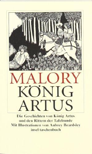 Die Geschichten von König Artus und den Rittern seiner Tafelrunde: Die Geschichten von König Artus und den Rittern der Tafelrunde (insel taschenbuch)