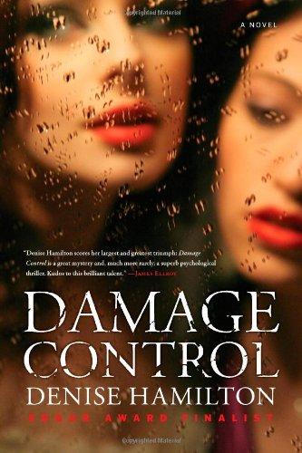 Damage Control: A Novel