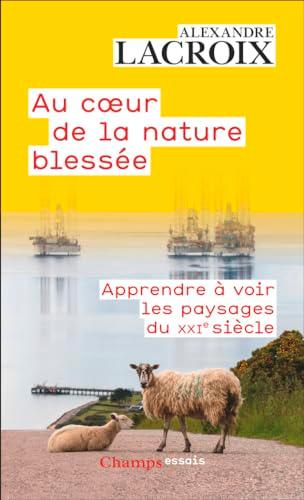 Au coeur de la nature blessée : apprendre à voir les paysages du XXIe siècle : essai