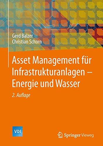 Asset Management für Infrastrukturanlagen - Energie und Wasser (VDI-Buch)