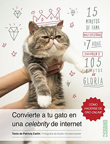 Convierte a tu gato en una celebrity de internet (Fuera de colección)