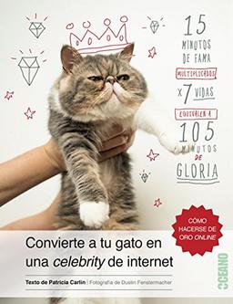 Convierte a tu gato en una celebrity de internet (Fuera de colección)