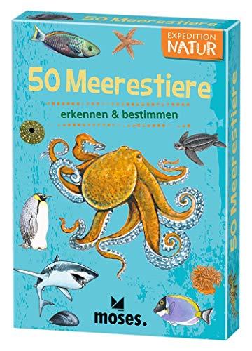 moses. 9821 Expedition Natur-50 Meerestiere, Bestimmungskarten im Set, mit spannenden Quizfragen, Yellow