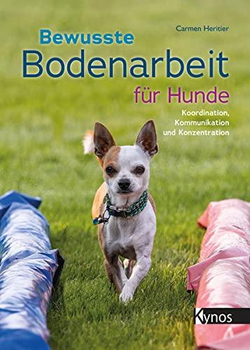 Bewusste Bodenarbeit für Hunde: Koordination, Kommunikation und Konzentration