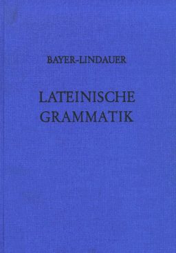 Lateinische Grammatik. Neubearbeitung auf der Grundlage von Landgraf-Leitschuh (Lernmaterialien)