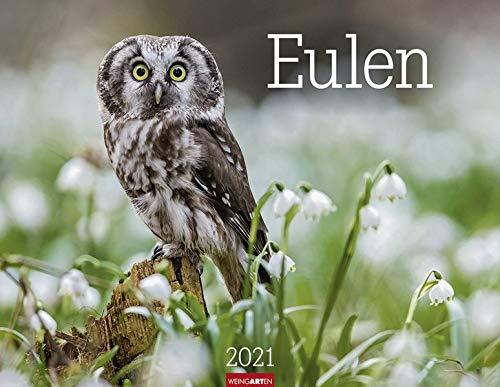 Eulen Kalender 2021