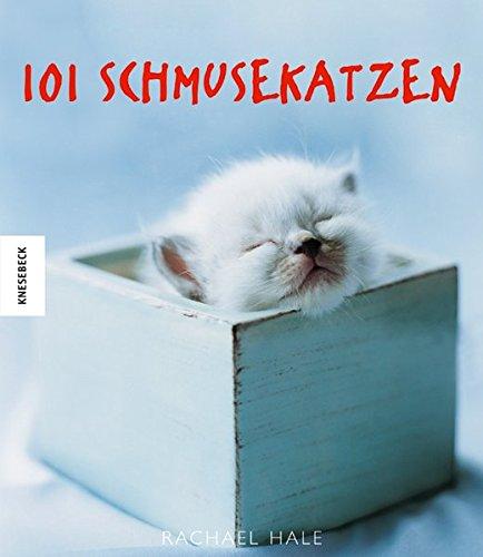 101 Schmusekatzen