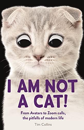 I Am Not a Cat!: From Avatars to Zoom Calls: the Pitfalls of Modern Life