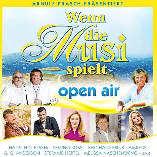 Wenn die Musi spielt - Sommer Open Air