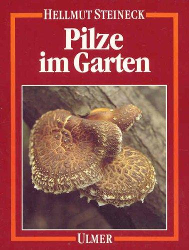 Pilze im Garten