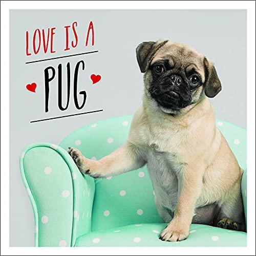 Love is a Pug: A Pugtastic Celebration of The World's Cutest Dogs