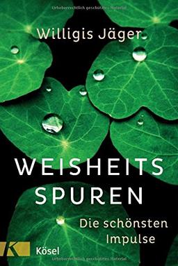 Weisheitsspuren: Die schönsten Impulse von Willigis Jäger