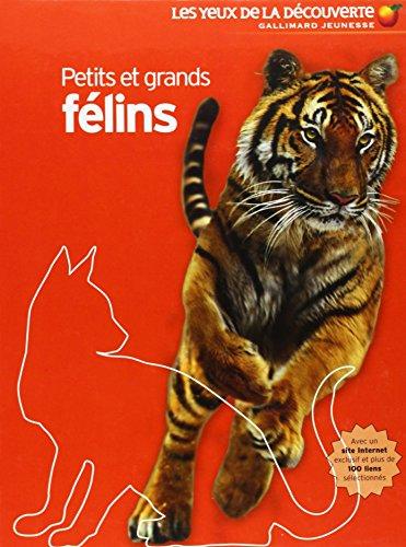 Petits et grands félins