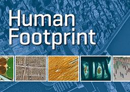 Human Footprint: Der Ausstellungskatalog