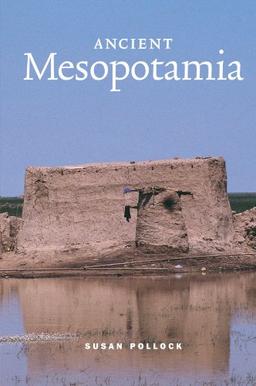 Ancient Mesopotamia (Case Studies in Early Societies, Band 1)