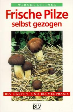 Frische Pilze selbst gezogen.