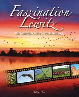 Faszination Lewitz: Ein Naturparadies in Mecklenburg