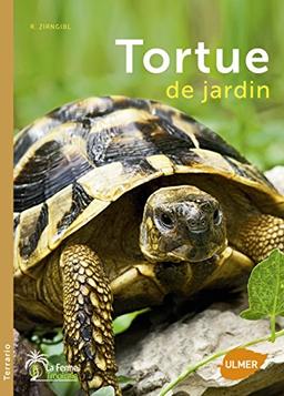 Tortue de jardin