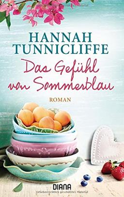 Das Gefühl von Sommerblau: Roman