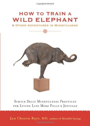 How to Train a Wild Elephant: And Other Adventures in Mindfulness