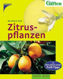 Zitruspflanzen: mit Mein schöner Garten Profi-Tipps